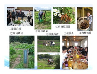 有機紅蘿菠
 產品介紹
          現採蔬菜
  租用農地                  健康食   有機菇類
                 現場採收




中國生產力中心                          42
 