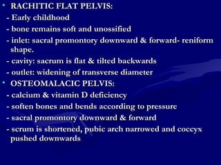 • RACHITIC FLAT PELVIS:RACHITIC FLAT PELVIS:
- Early childhood- Early childhood
- bone remains soft and unossified- bone remains soft and unossified
- inlet: sacral promontory downward & forward- reniform- inlet: sacral promontory downward & forward- reniform
shape.shape.
- cavity: sacrum is flat & tilted backwards- cavity: sacrum is flat & tilted backwards
- outlet: widening of transverse diameter- outlet: widening of transverse diameter
• OSTEOMALACIC PELVIS:OSTEOMALACIC PELVIS:
- calcium & vitamin D deficiency- calcium & vitamin D deficiency
- soften bones and bends according to pressure- soften bones and bends according to pressure
- sacral promontory downward & forward- sacral promontory downward & forward
- scrum is shortened, pubic arch narrowed and coccyx- scrum is shortened, pubic arch narrowed and coccyx
pushed downwardspushed downwards
 