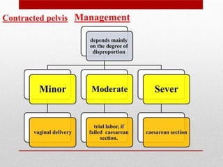 Cephalo pelvic disproportion obstetrics and gynaecological nursing | PPTX