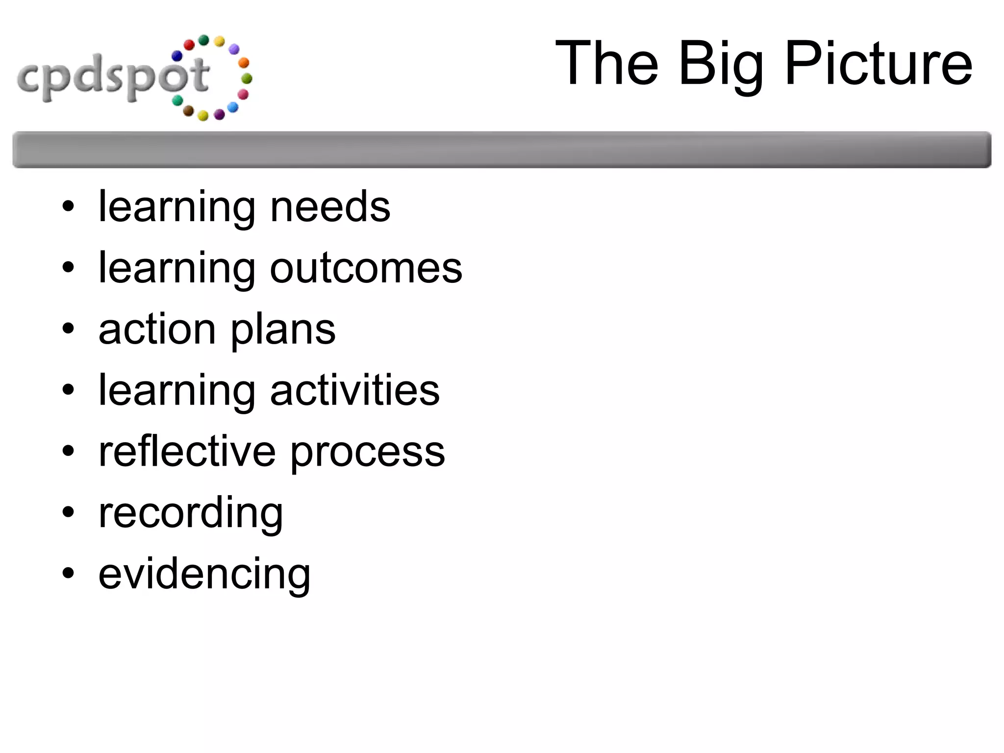 The Big Picture learning needs learning outcomes action plans learning activities reflective process recording evidencing 
