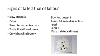 Hanging Labour cpd 1.pptxnwownownwownoeeheihegehekekekekkeke | PPTX