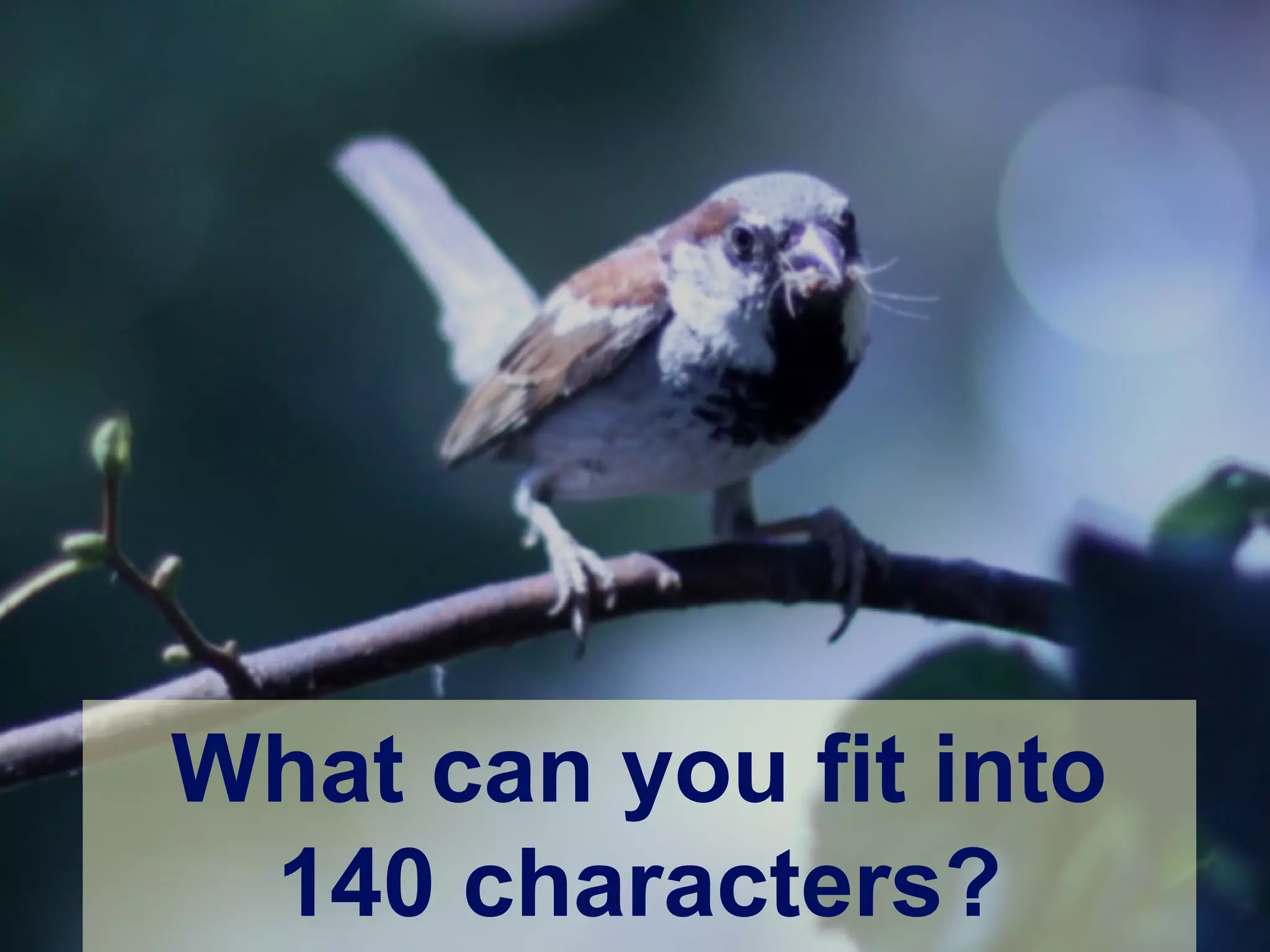 What can you fit into
140 characters?
 