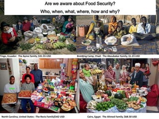 Are we aware about Food Security? Who, when, what, where, how and why?Tingo, Ecuador: The Ayme Family; $31.55 USDBreidjing Camp, Chad: The Aboubakar Family; $1.23 USDCairo, Egypt: The Ahmed Family; $68.50 USDNorth Carolina, United States : The Revis Family$342 USD