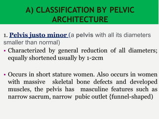 A) CLASSIFICATION BY PELVIC
ARCHITECTURE
1. Pelvis justo minor (a pelvis with all its diameters
smaller than normal)
• Characterized by general reduction of all diameters;
equally shortened usually by 1-2cm
• Occurs in short stature women. Also occurs in women
with massive skeletal bone defects and developed
muscles, the pelvis has masculine features such as
narrow sacrum, narrow pubic outlet {funnel-shaped)
 