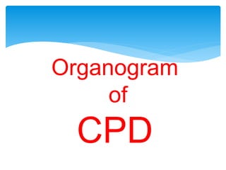 Organogram
of
CPD
 