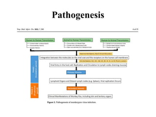 Pathogenesis
 
