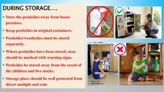 Inadequate Storage Safe handling, storage and application of pesticides | PPTX
