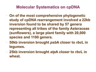 cpDNA.ppt