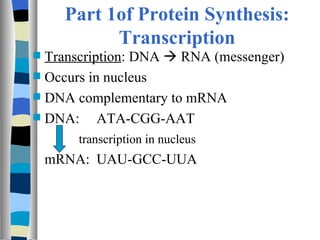 Part 1of Protein Synthesis:
            Transcription
 Transcription: DNA  RNA (messenger)
 Occurs in nucleus
 DNA complementary to mRNA
 DNA:     ATA-CGG-AAT
       transcription in nucleus
    mRNA: UAU-GCC-UUA
 
