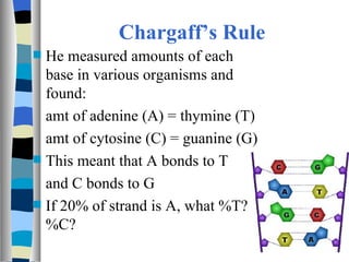 Chargaff’s Rule
 He measured amounts of each
  base in various organisms and
  found:
  amt of adenine (A) = thymine (T)
  amt of cytosine (C) = guanine (G)
 This meant that A bonds to T
  and C bonds to G
 If 20% of strand is A, what %T?
  %C?
 