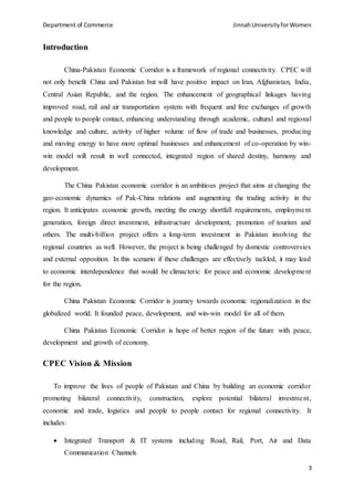 Cpec report | PDF