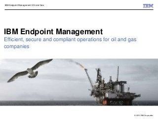 © 2013 IBM Corporation
IBM Endpoint Management: Oil and Gas
IBM Endpoint Management
Efficient, secure and compliant operations for oil and gas
companies
 