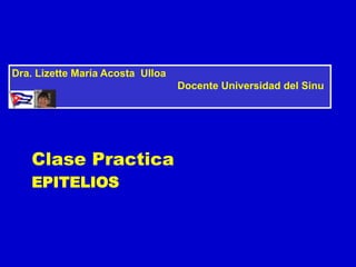 EPITELIOS
Clase Practica
Dra. Lizette María Acosta Ulloa
Docente Universidad del Sinu
 