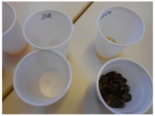 CP et atelier sur le goût