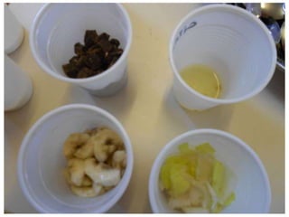 CP et atelier sur le goût