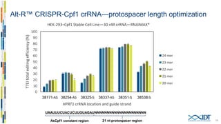 Alt-R™ CRISPR-Cpf1 crRNA—2′O-methyl testing
15
Locations affected by 2′OMe modification
T7EI total editing (%) T7EI total editing (%)
 