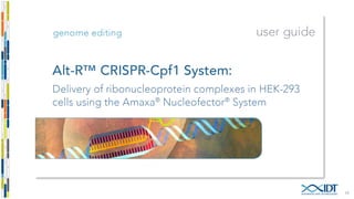 Alt-R™ CRISPR-Cpf1 RNP complex formation
17
 