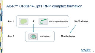 Effect of Alt-R™ Cpf1 Electroporation Enhancer with RNP
18
0
10
20
30
40
50
60
70
80
90
100
T7EItotaleditingefficiency(%)
HPRT1 crRNA location and guide strand
HEK 293—5 µM RNP—Amaxa® Nucleofector® System
0 µM Enhancer
3 µM Enhancer
5 µM Enhancer
 