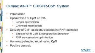 Outline: Alt-R™ CRISPR-Cpf1 System
• Background
• Optimization of Cpf1 crRNA
• Length optimization
• Chemical modification
• Delivery of Cpf1 as ribonucleoprotein (RNP) complex
• Effect of Alt-R Cpf1 Electroporation Enhancer
• RNP concentration optimization
• Homology-directed repair using Cpf1
• Positive controls
2
 