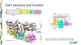 Comparison of Cas9 and Cpf1
7
 