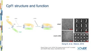 Low off-target editing with Cpf1
8
Kim D, Kim J, et al. (2016) Genome-wide analysis reveals specificities of
Cpf1 endonucleases in human cells. Nat Biotech, 34(8):863–868.
 