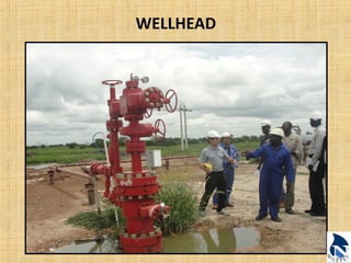 WELLHEAD 
 