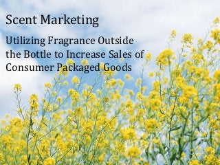 Scent Marketing
Utilizing Fragrance Outside
the Bottle to Increase Sales of
Consumer Packaged Goods
 