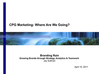 CPG Marketing: Where Are We Going? Branding Rain Growing Brands through Strategy, Analytics & Teamwork  Jay Sullivan April 15, 2011 