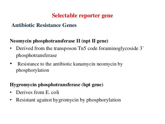 reporter genes