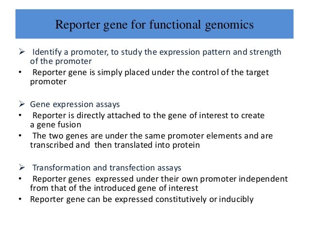 reporter gene reporter genes