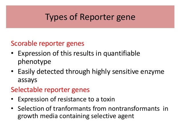 reporter gene reporter genes