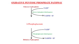 OXIDATIVE PENTOSE PHOSPHATE PATHWAY
6-Phosphogluconate
 