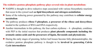 The oxidative pentose phosphate pathway plays several roles in plant metabolism:
NADPH is thought to drive reductive steps associated with various biosynthetic reactions
that occur in the cytosol such as lipid biosynthesis and nitrogen assimilation.
Some of the reducing power generated by this pathway may contribute to cellular energy
metabolism
The pathway produces ribose 5 phosphate, a precursor of the ribose and deoxyribose
needed in the synthesis of RNA and DNA respectively.
Another intermediate in this pathway, the four carbon erythrose – 4 - phosphate, combines
with PEP in the initial reaction that produces plant phenolic compounds including the
aromatic amino acids and the precursors of lignin, flavonoids and phytoalexins.
During the early stages of greening, before leaf tissues become fully photoautotrophic, the
oxidative pentose phosphate pathway is thought to be involved in generating Calvin
Cycle intermediates
 