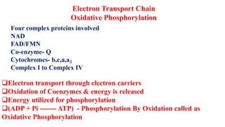 Electron Transport Chain
Oxidative Phosphorylation
Four complex proteins involved
NAD
FAD/FMN
Co-enzyme- Q
Cytochromes- b,c,a,a3
Complex I to Complex IV
Electron transport through electron carriers
Oxidation of Coenzymes & energy is released
Energy utilized for phosphorylation
(ADP + Pi ------- ATP) - Phosphorylation By Oxidation called as
Oxidative Phosphorylation
 
