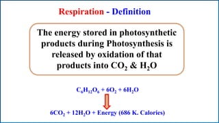 Respiration - Definition
The energy stored in photosynthetic
products during Photosynthesis is
released by oxidation of that
products into CO2 & H2O
C6H12O6 + 6O2 + 6H2O
6CO2 + 12H2O + Energy (686 K. Calories)
 