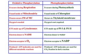 Oxidative Phosphorylation Photophosphorylation
It occurs during Respiration It occurs during Photosynthesis
Found inside of Mitochondria Found inside of Chloroplast
Process occurs IM of MC Occurs in Thylakoid membrane
Oxygen is needed Oxygen is not required
ETS made up of Cytochromes ETS made up of PS I & PS II
Electron donor is NADH Electron donor is water
Electron acceptor is O2 Electron acceptor is NADP
Produced ATP molecules are used for
different metabolic reactions
Produced ATP molecules are used for
CO2 fixation in dark reaction
 