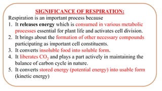 SIGNIFICANCE OF RESPIRATION:
Respiration is an important process because
1. It releases energy which is consumed in various metabolic
processes essential for plant life and activates cell division.
2. It brings about the formation of other necessary compounds
participating as important cell constituents.
3. It converts insoluble food into soluble form.
4. It liberates CO2 and plays a part actively in maintaining the
balance of carbon cycle in nature.
5. It converts stored energy (potential energy) into usable form
(kinetic energy)
 