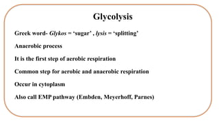Glycolysis
Greek word- Glykos = ‘sugar’ , lysis = ‘splitting’
Anaerobic process
It is the first step of aerobic respiration
Common step for aerobic and anaerobic respiration
Occur in cytoplasm
Also call EMP pathway (Embden, Meyerhoff, Parnes)
 