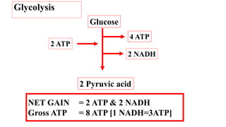 Glucose
2 Pyruvic acid
4 ATP
2 ATP
2 NADH
NET GAIN = 2 ATP & 2 NADH
Gross ATP = 8 ATP [1 NADH=3ATP]
Glycolysis
 
