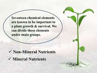  Non-Mineral Nutrients
 Mineral Nutrients
Seventeen chemical elements
are known to be important to
a plant growth & survival. We
can divide these elements
under main groups.
 