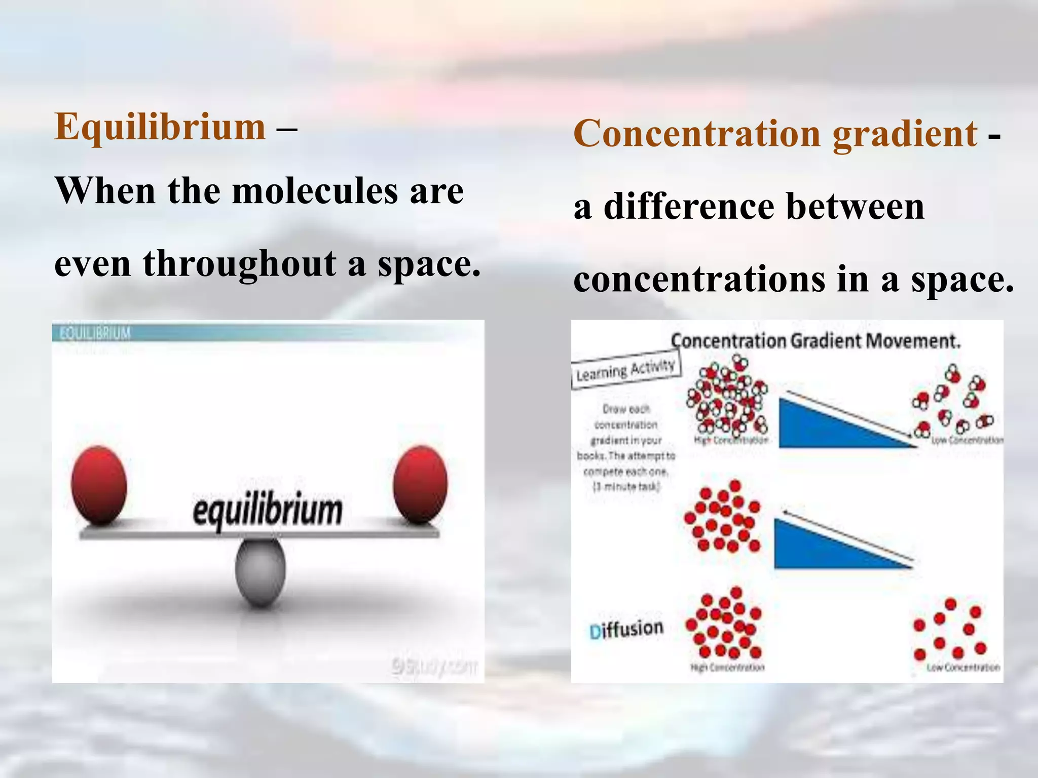Equilibrium –
When the molecules are
even throughout a space.
Concentration gradient -
a difference between
concentrations in a space.
 