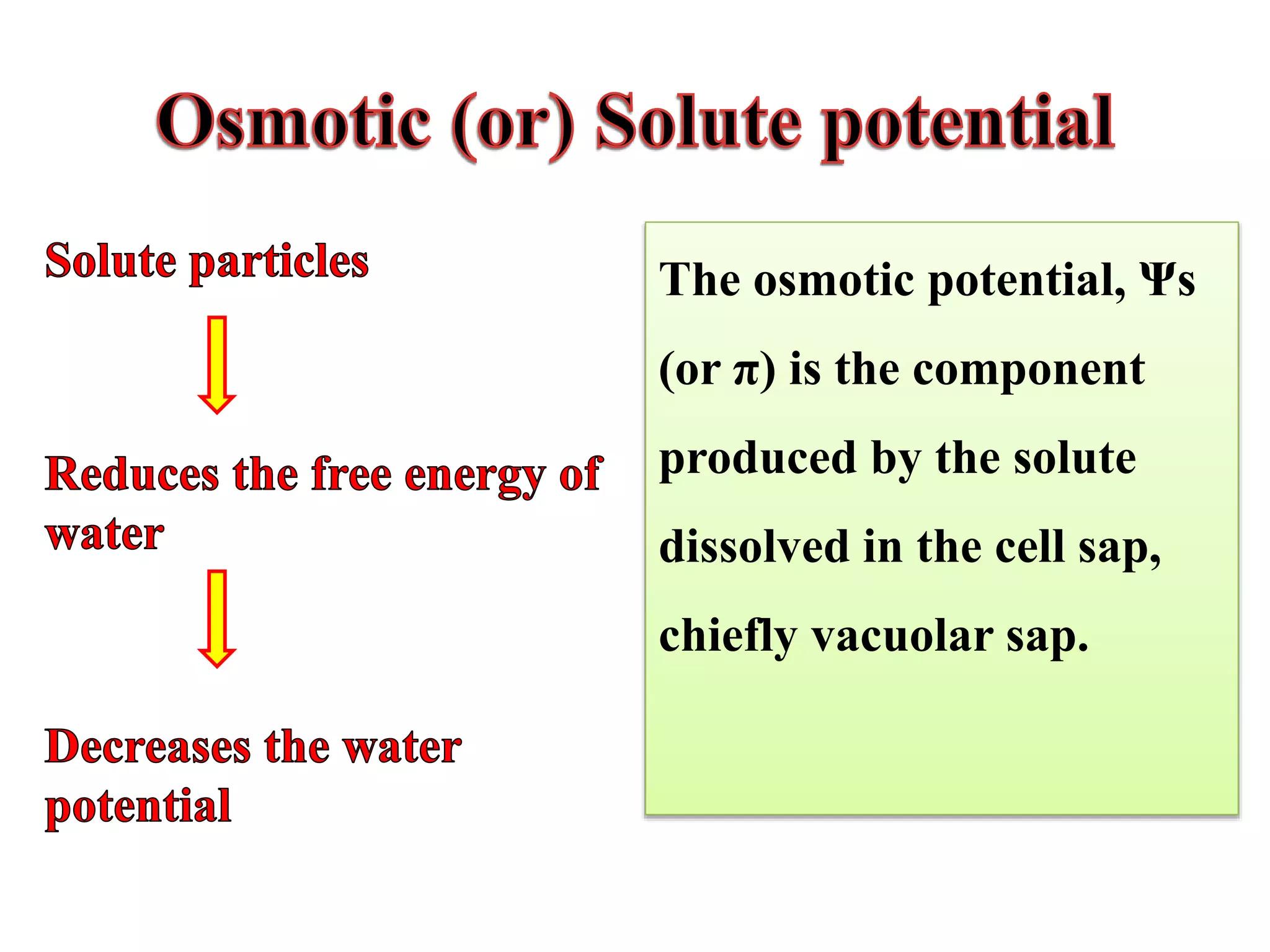 The osmotic potential, Ψs
(or π) is the component
produced by the solute
dissolved in the cell sap,
chiefly vacuolar sap.
 