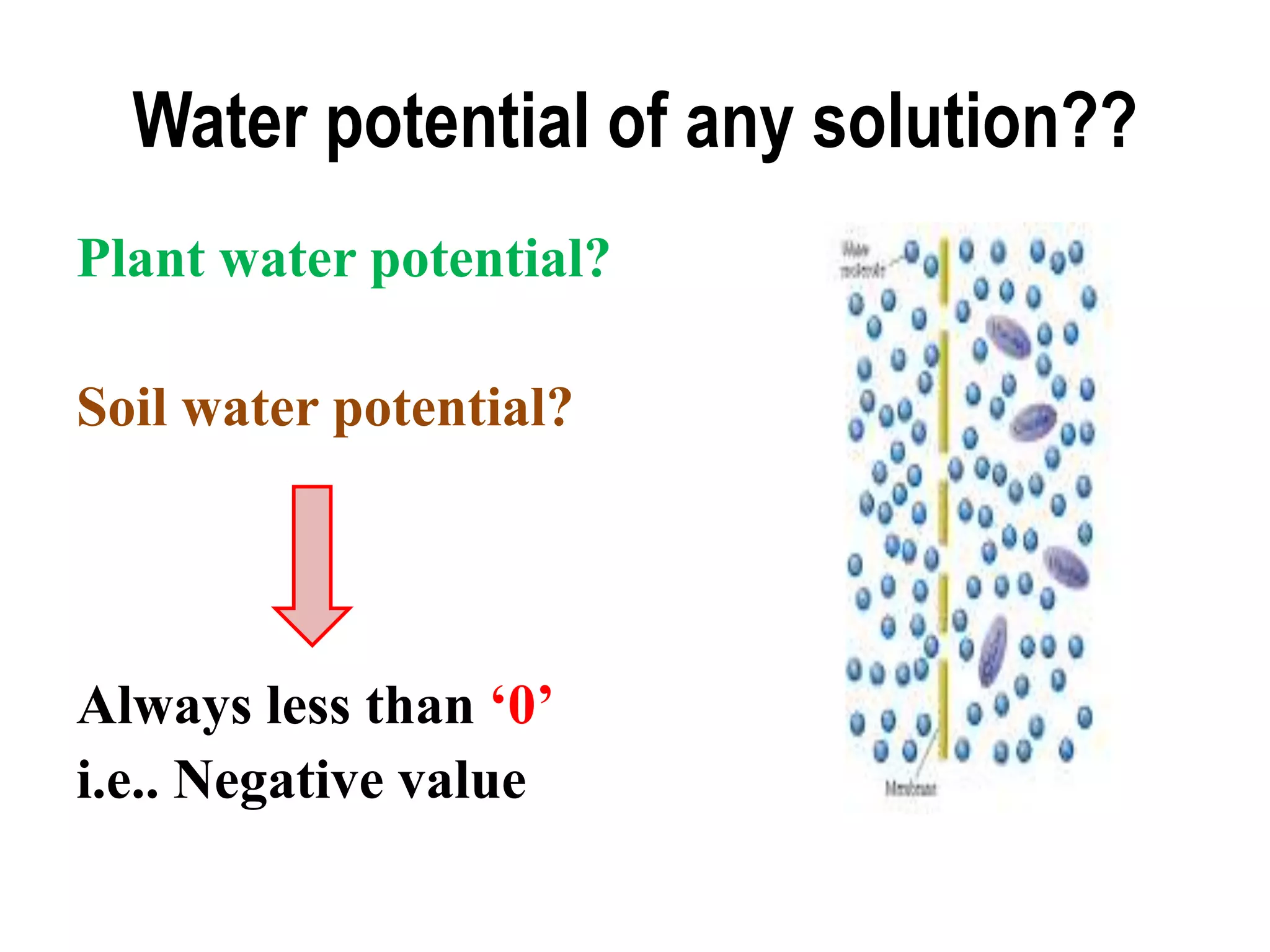 Water potential of any solution??
Plant water potential?
Soil water potential?
Always less than ‘0’
i.e.. Negative value
 