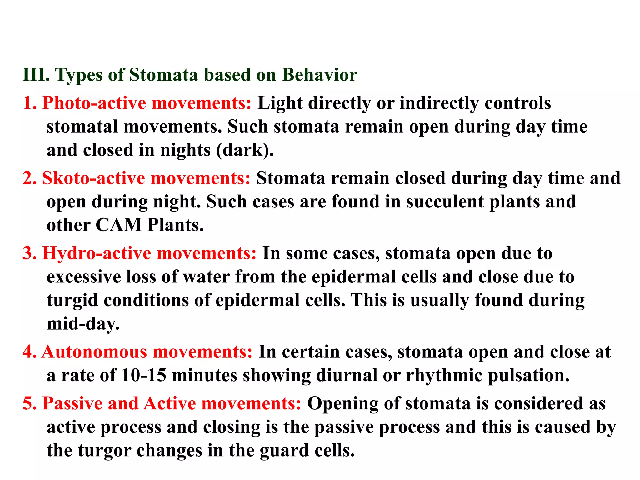 III. Types of Stomata based on Behavior
1. Photo-active movements: Light directly or indirectly controls
stomatal movements. Such stomata remain open during day time
and closed in nights (dark).
2. Skoto-active movements: Stomata remain closed during day time and
open during night. Such cases are found in succulent plants and
other CAM Plants.
3. Hydro-active movements: In some cases, stomata open due to
excessive loss of water from the epidermal cells and close due to
turgid conditions of epidermal cells. This is usually found during
mid-day.
4. Autonomous movements: In certain cases, stomata open and close at
a rate of 10-15 minutes showing diurnal or rhythmic pulsation.
5. Passive and Active movements: Opening of stomata is considered as
active process and closing is the passive process and this is caused by
the turgor changes in the guard cells.
 