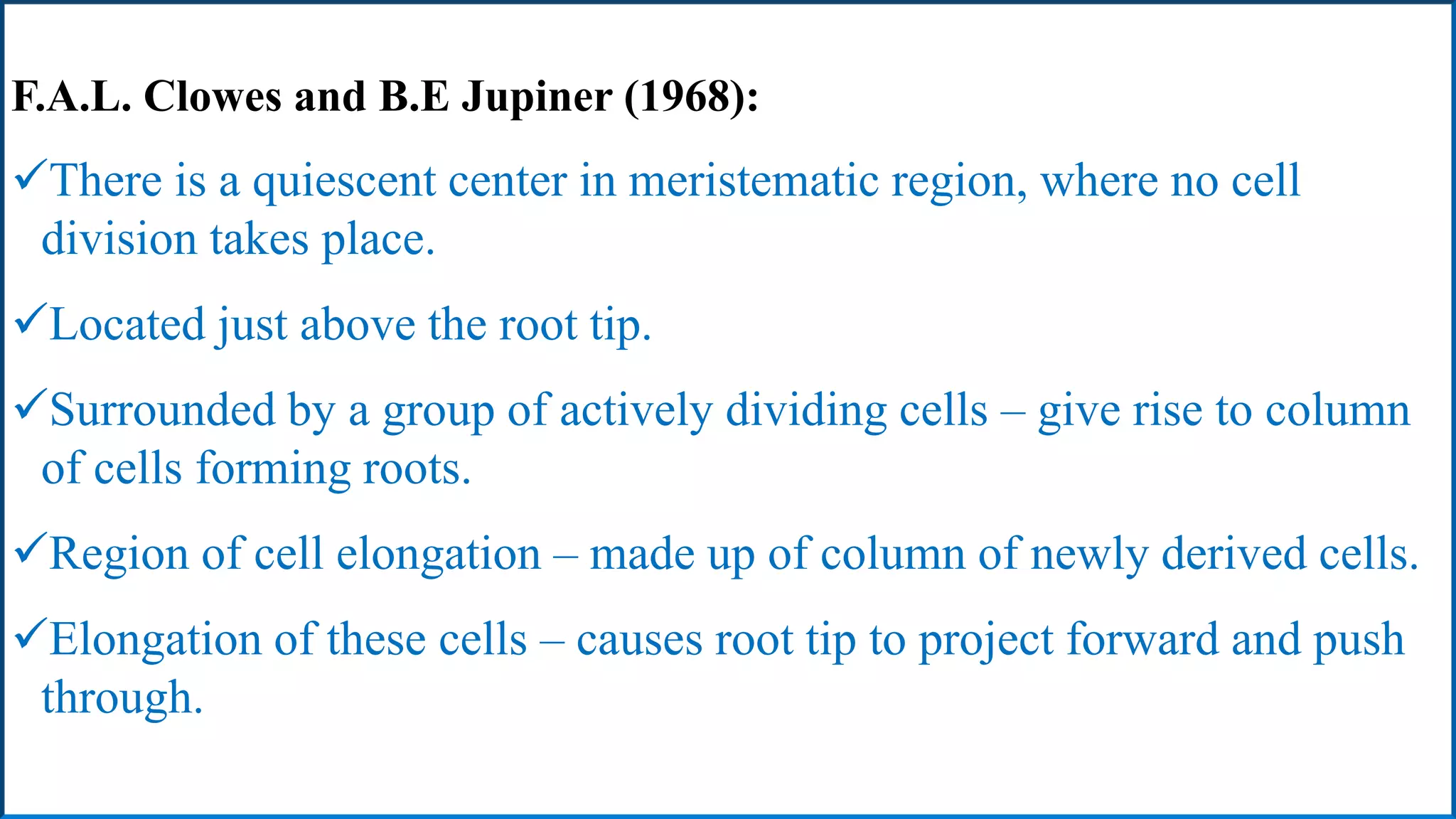 F.A.L. Clowes and B.E Jupiner (1968):
There is a quiescent center in meristematic region, where no cell
division takes place.
Located just above the root tip.
Surrounded by a group of actively dividing cells – give rise to column
of cells forming roots.
Region of cell elongation – made up of column of newly derived cells.
Elongation of these cells – causes root tip to project forward and push
through.
 