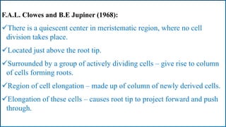 F.A.L. Clowes and B.E Jupiner (1968):
There is a quiescent center in meristematic region, where no cell
division takes place.
Located just above the root tip.
Surrounded by a group of actively dividing cells – give rise to column
of cells forming roots.
Region of cell elongation – made up of column of newly derived cells.
Elongation of these cells – causes root tip to project forward and push
through.
 