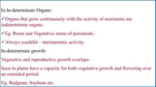b) In-determinate Organs:
Organs that grow continuously with the activity of meristems are
indeterminate organs.
Eg. Roots and Vegetative stems of perennials.
Always youthful – meristematic activity.
In-determinate growth:
Vegetative and reproductive growth overlaps.
Seen in plants have a capacity for both vegetative growth and flowering over
an extended period.
Eg. Redgram, Soybean etc.
 