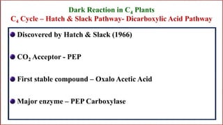 PHOTOSYNTHESIS | PPTX