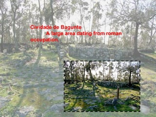 Cividade de Bagunte  A large area dating from roman occupation. 
