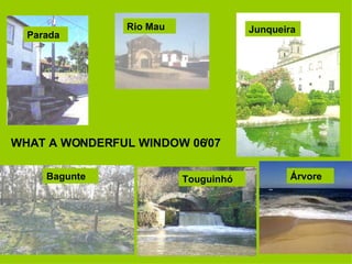 WHAT A WONDERFUL WINDOW 06/07 Bagunte Junqueira Parada Touguinhó Rio Mau Árvore 